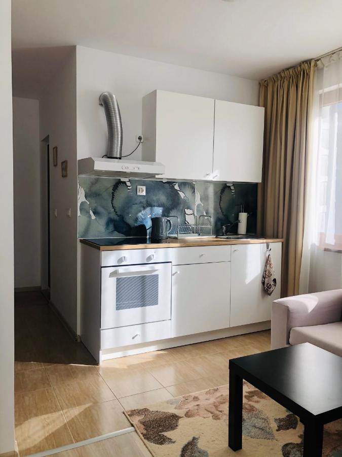 Temerso Studio-Apartment Банско Экстерьер фото